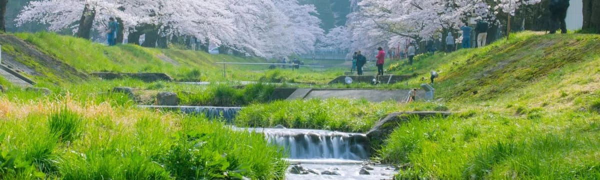 介護サービス in 井原市, 岡山県