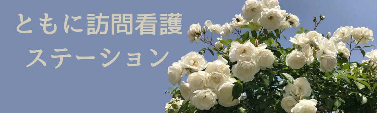 介護サービス in 秋田市, 秋田県