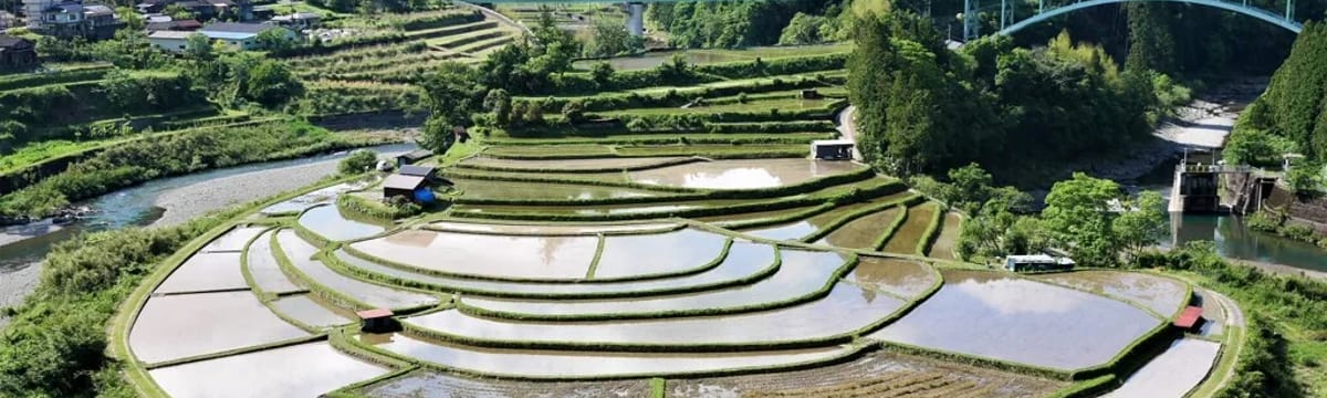 訪問介護 in 有田川町, 和歌山県
