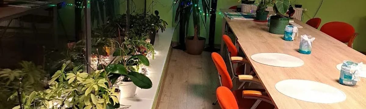 Opieka dla seniorów in Pabianice, Pabianice