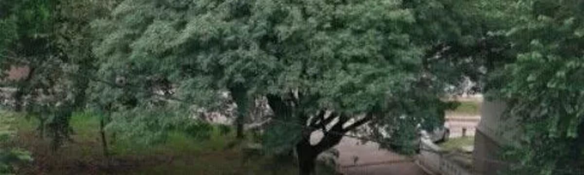 Cuidado de Mayores in Haedo, Moron