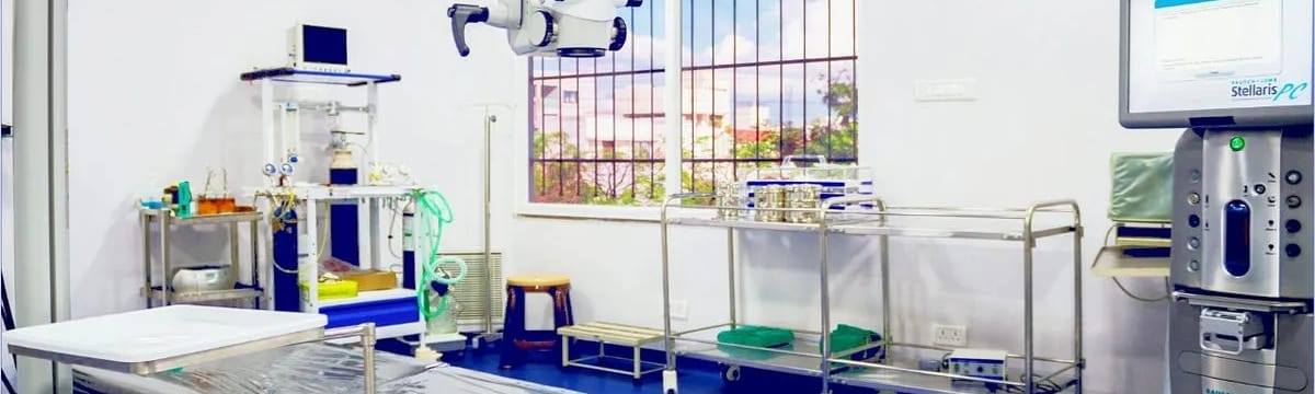 Elder Care in Raipur Chattisgarh, Chhattisgarh