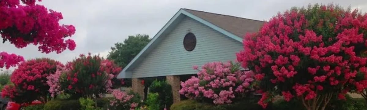 Senior Care in La Vernia, TX