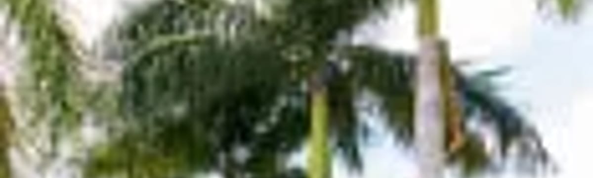 Senior Care in Pahokee, FL