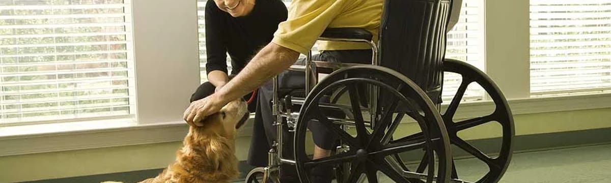 Senior Care in Hackensack, MN