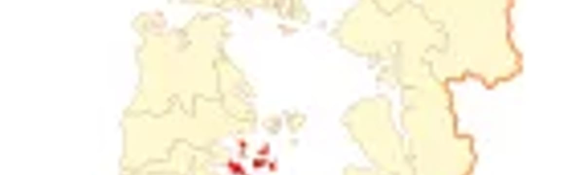 Cuidado de Mayores in Quinchao, Región de Los Lagos