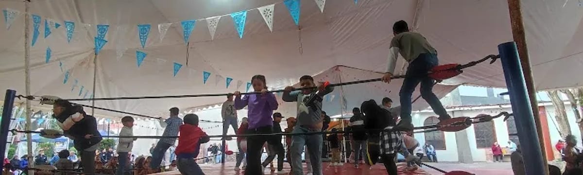 Cuidado de Mayores in Tetepango, Hidalgo