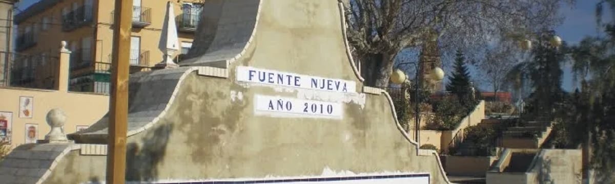 Cuidado de Mayores in Ñuñoa, Región Metropolitana de Santiago