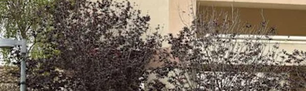 Senior Care in Arroyo Grande, CA