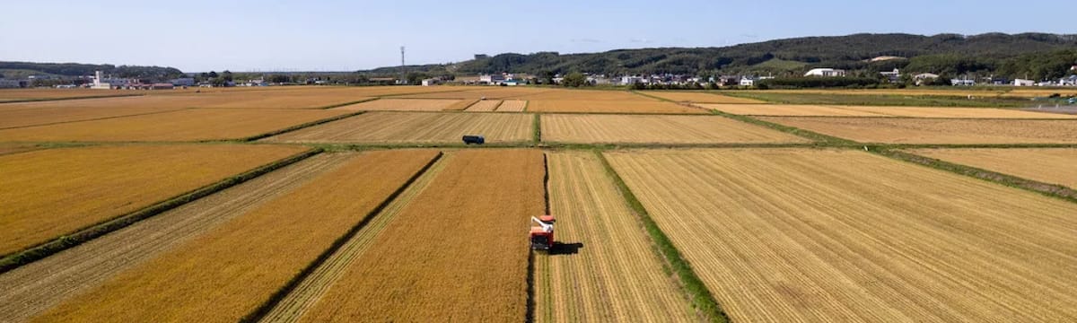 介護サービス in 厚真町, 北海道