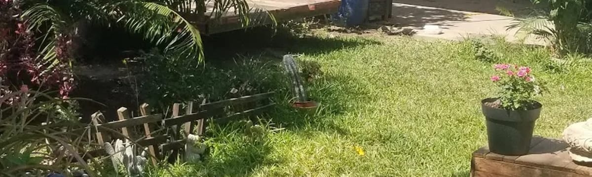 Cuidado de Mayores in Chahuites, Oaxaca