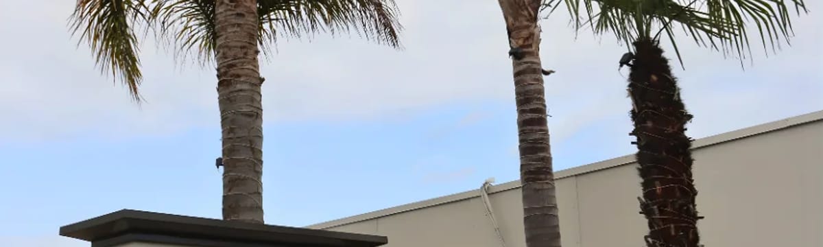 Assisted Living in Lemon Grove, CA