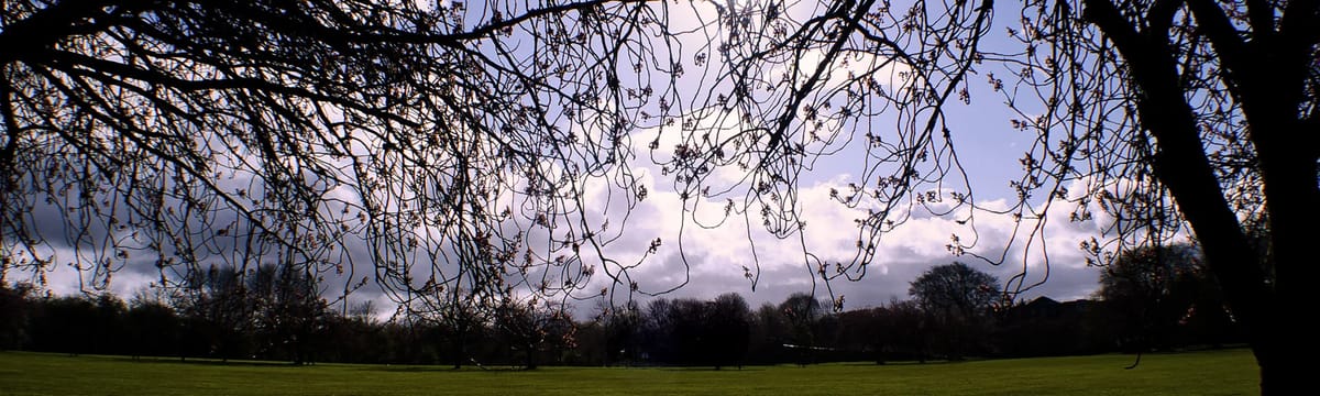 Care Services in Lingfield, England