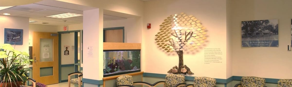Senior Care in Clifton Par, NY