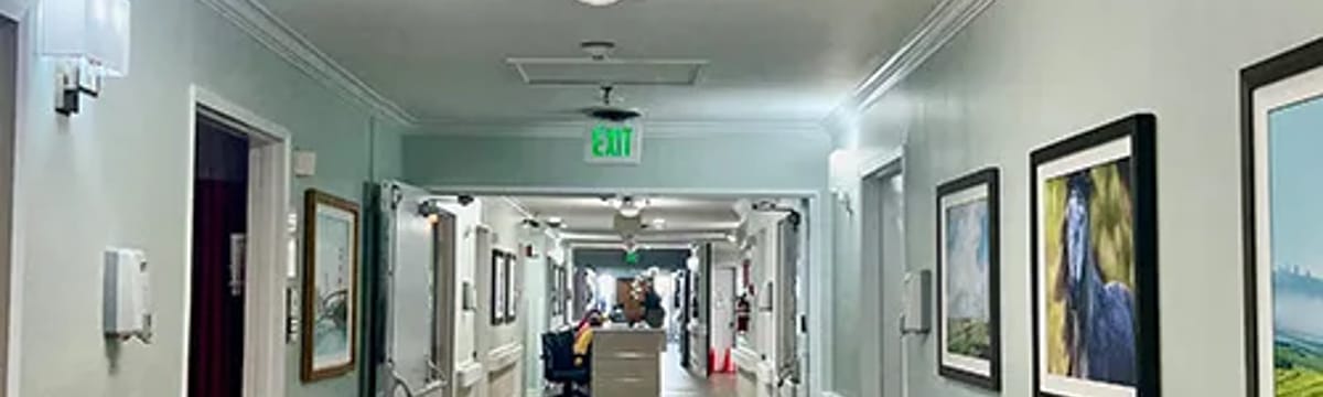 Senior Care in Castro Valley, CA