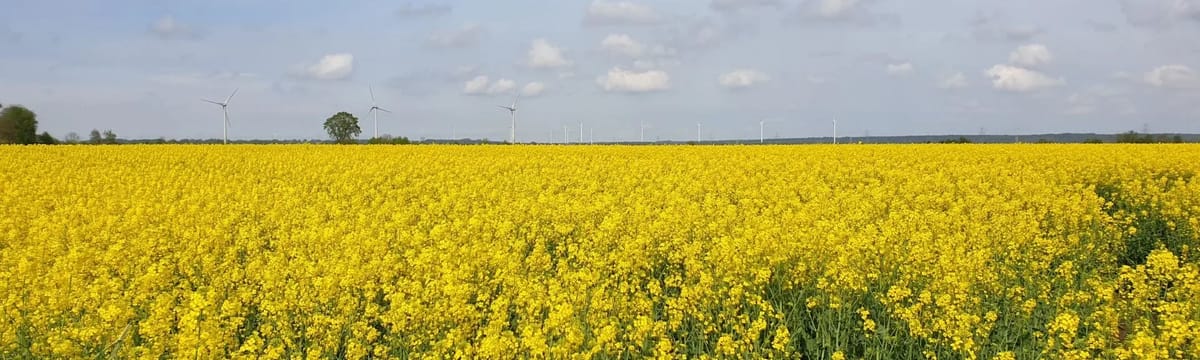 Seniorenpflege in Schwanewede, Niedersachsen