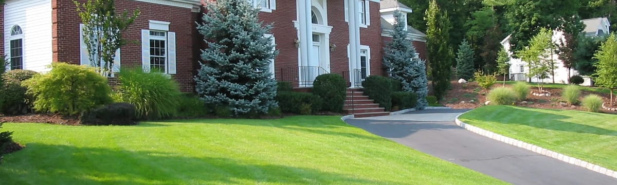Senior Care in Town And Country, MO