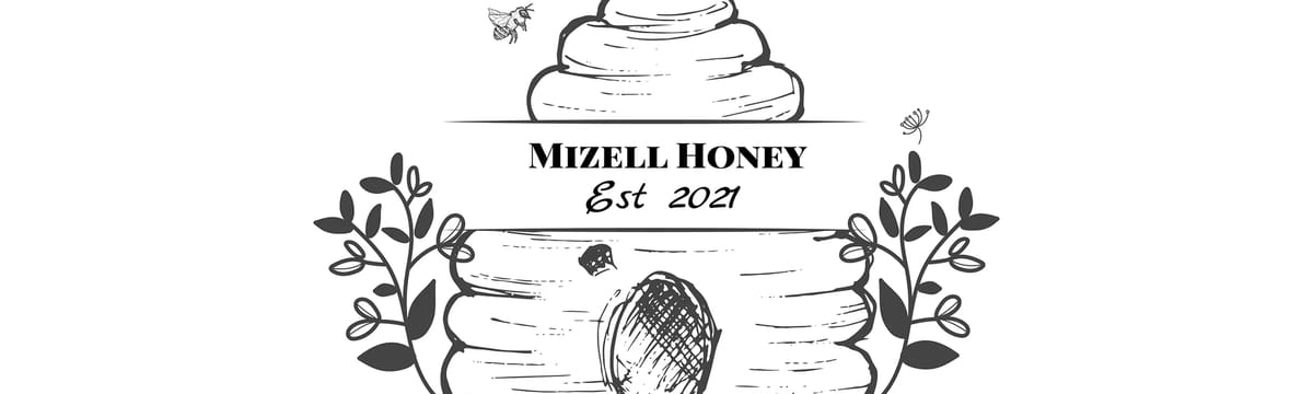 Medical Transport in Gulfport, MS