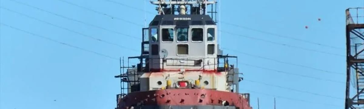 Cuidado de Mayores in Osorno, Región de Los Lagos