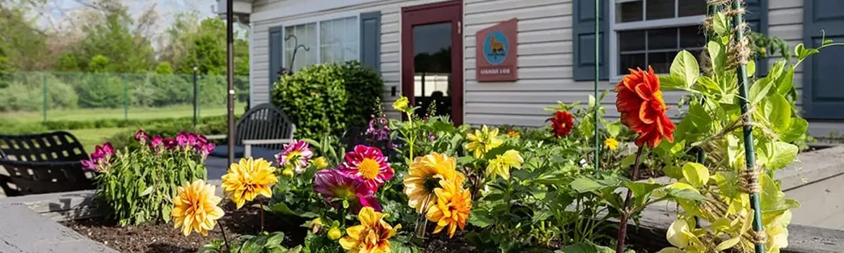 Senior Care in Jefferson Hills, PA