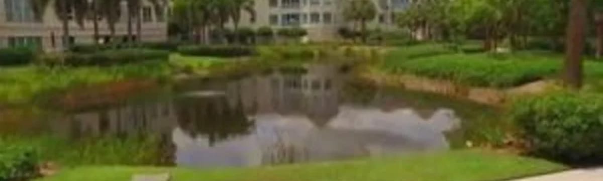 Senior Care in Naples, FL