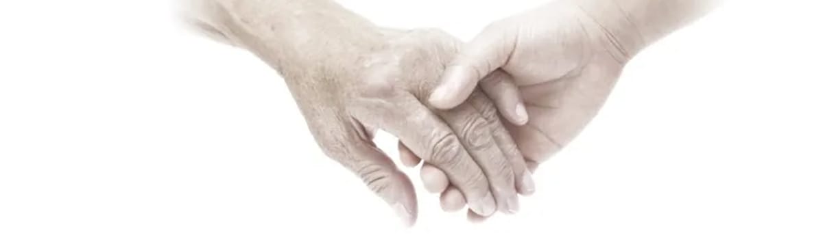 Hospicjum in Babule, Padew Narodowa