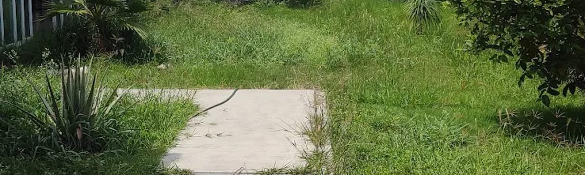 Cuidado de Mayores in Salvatierra, Guanajuato