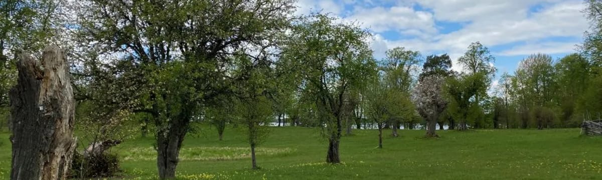 Äldreomsorg in Kinda, Östergötlands län