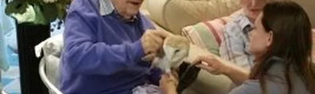 Care Services in Stockport, England
