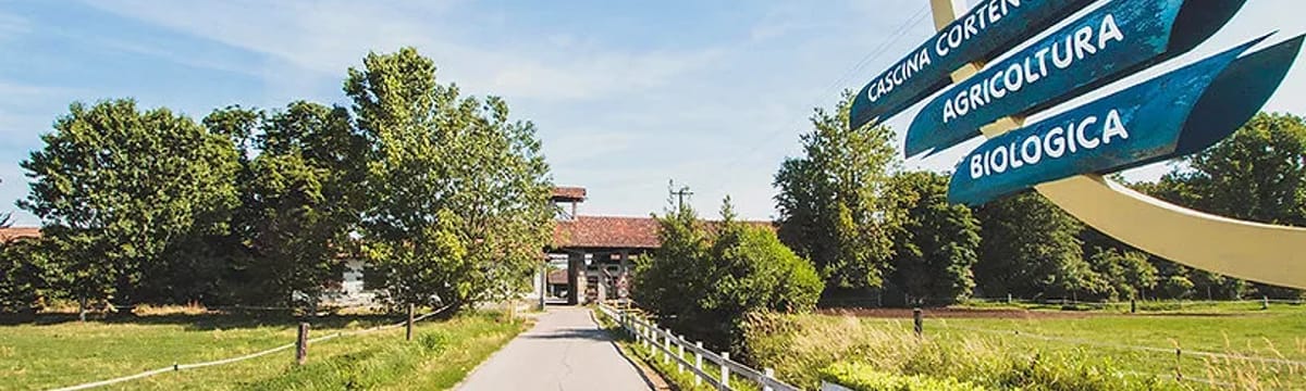 Assistenza Anziani in Paullo, Lombardia