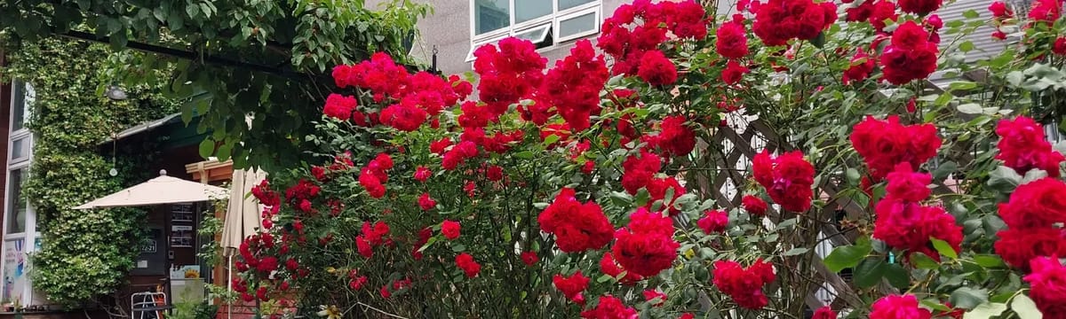요양 서비스 in 북구, 대구광역시