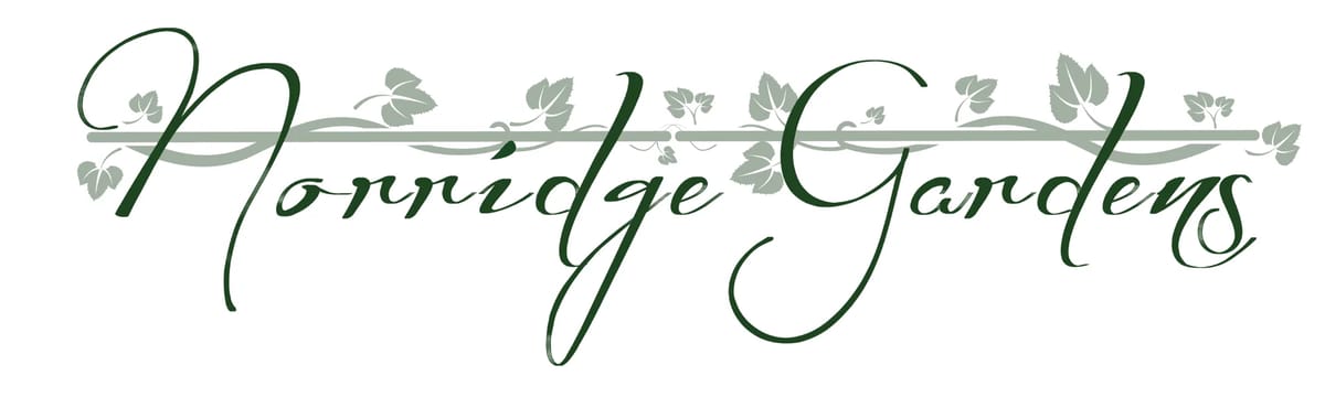 Senior Care in Norridge, IL