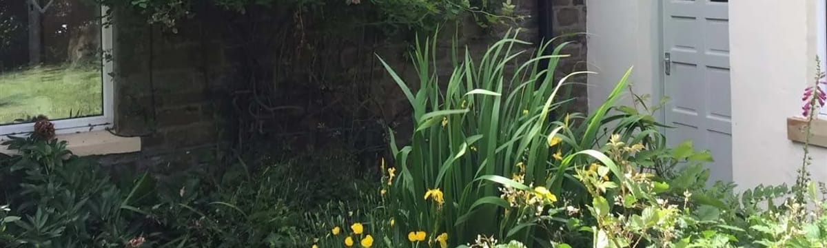 Care Services in Mayfield, England