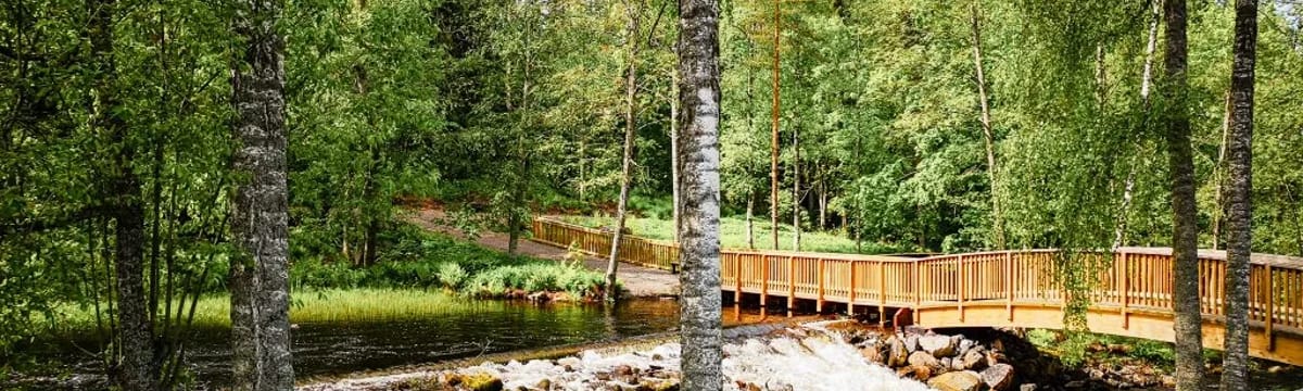 Vanhainkoti in Enonkoski, Satakunta