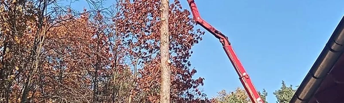 Opieka dla seniorów in Walidrogi, Tarnów Opolski