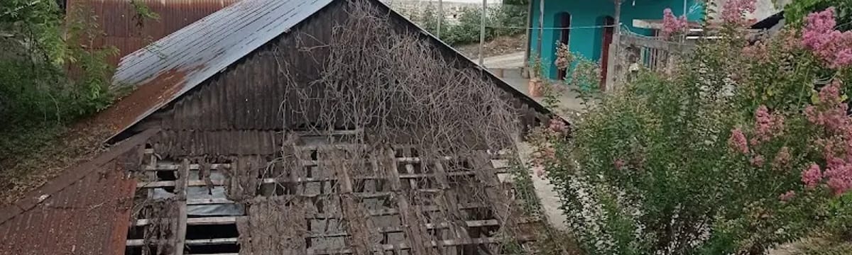 Cuidado de Mayores in Poza Rica De Hidalgo, Veracruz