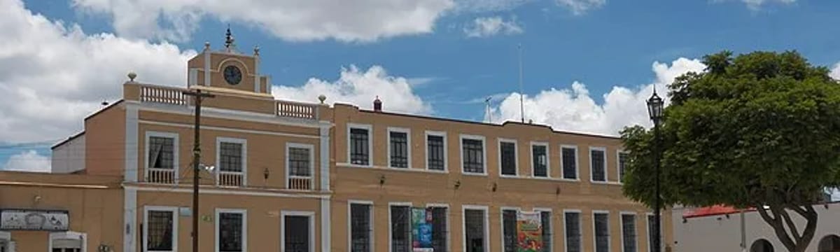 Cuidado de Mayores in Zapotlán De Juárez, Hidalgo