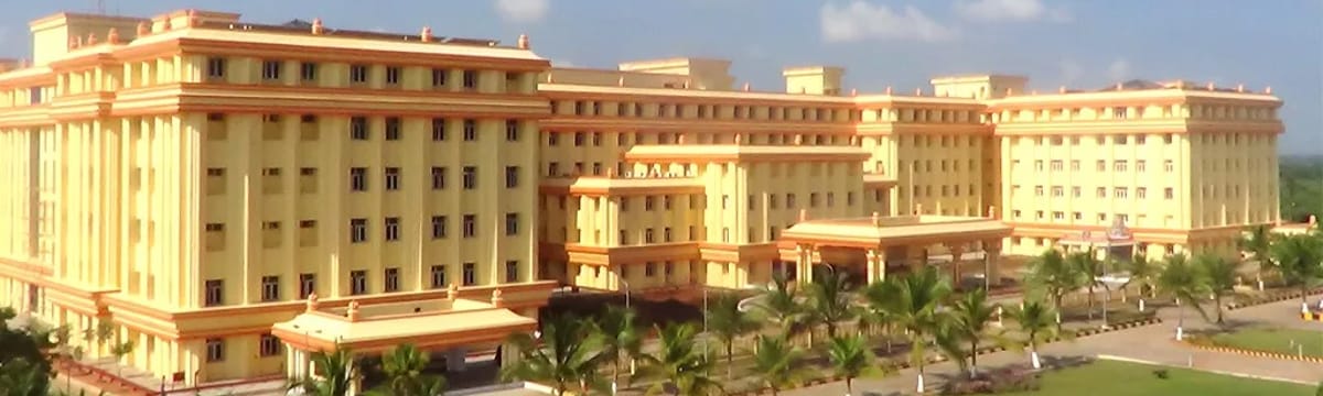 Elder Care in Chengalpattu, Tamil Nadu
