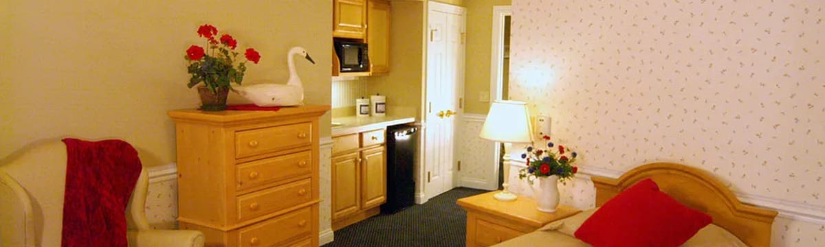 Senior Care in Brighton, MI