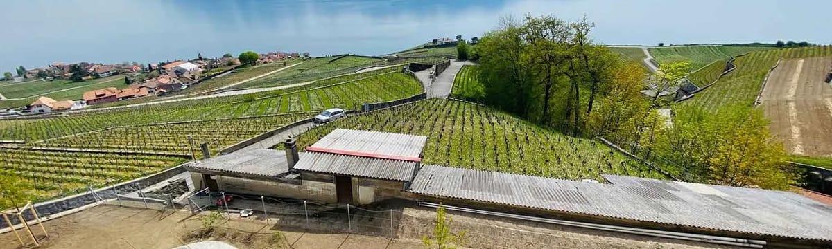 Seniorenpflege in Chexbres, Vaud