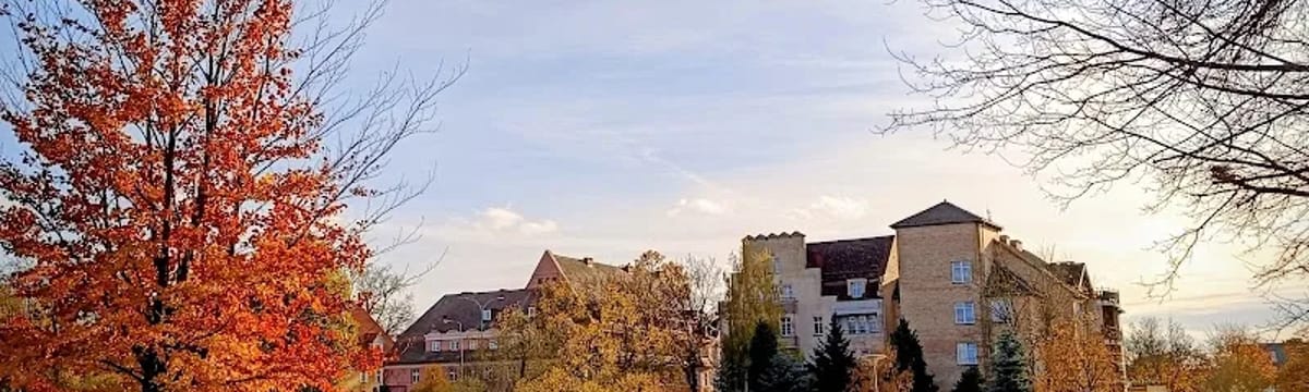 Opieka dla seniorów in Piła, Piła
