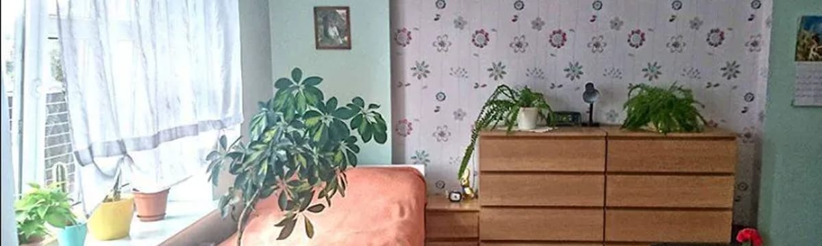 Opieka dla seniorów in Ruda Śląska, Ruda Śląska