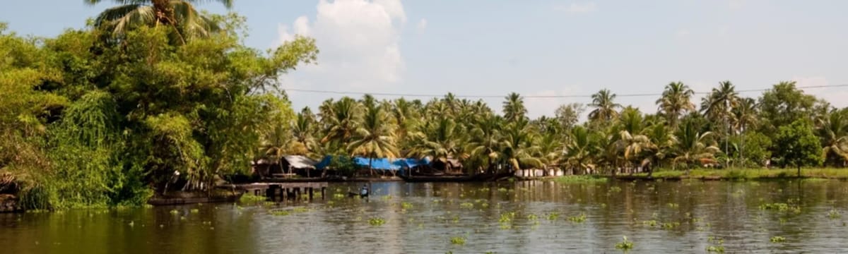 Elder Care in Alappuzha, Kerala