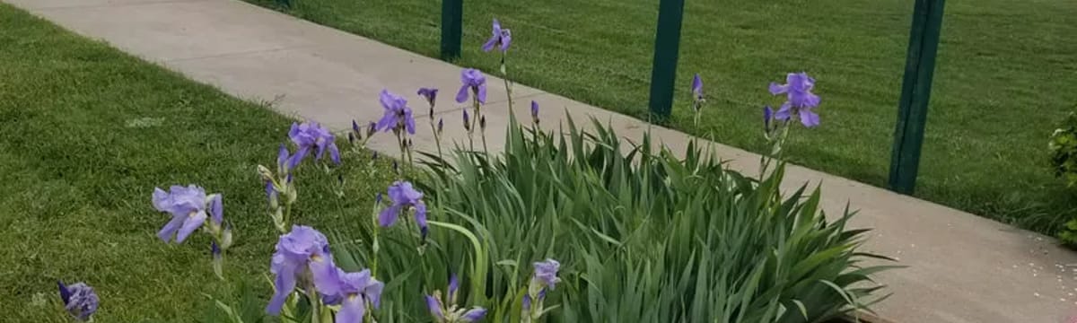 Senior Care in Fowler, KS