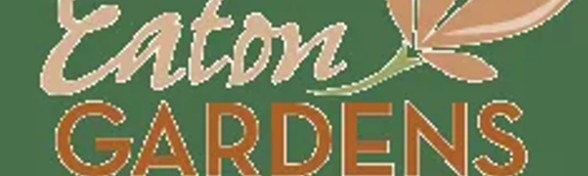 Senior Care in Charlotte, MI