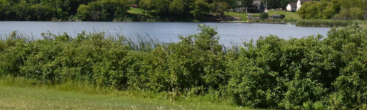 Assisted Living in Morris, MN
