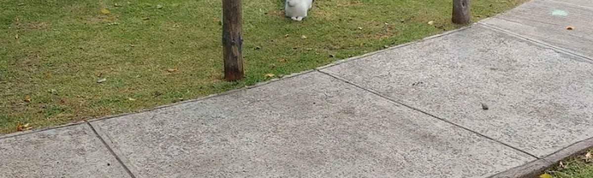 Cuidado de Mayores in Sayula, Jalisco