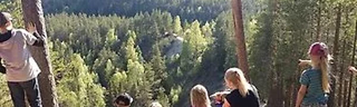 Minnesvård in Bjurholm, Västerbottens län