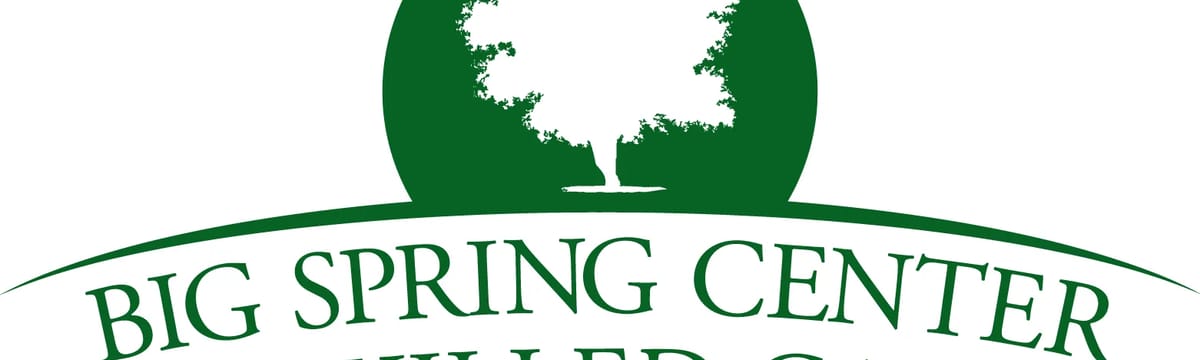 Senior Care in Big Spring, TX