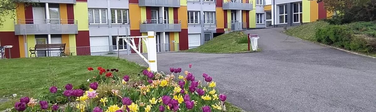 Soins aux Seniors in VITTEL, Grand Est